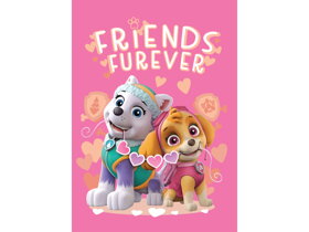 Kinderdecke Paw Patrol Friend Furever