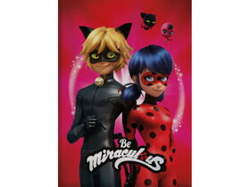 Miraculous Ladybug Kinderdecke