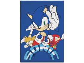 Kinderdecke Sonic The Hedgehog blau