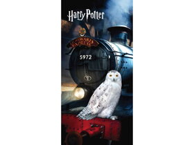 Strandtuch Harry Potter Eule Hedwig